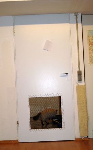 DSC_9389 Kellertür 2.jpg