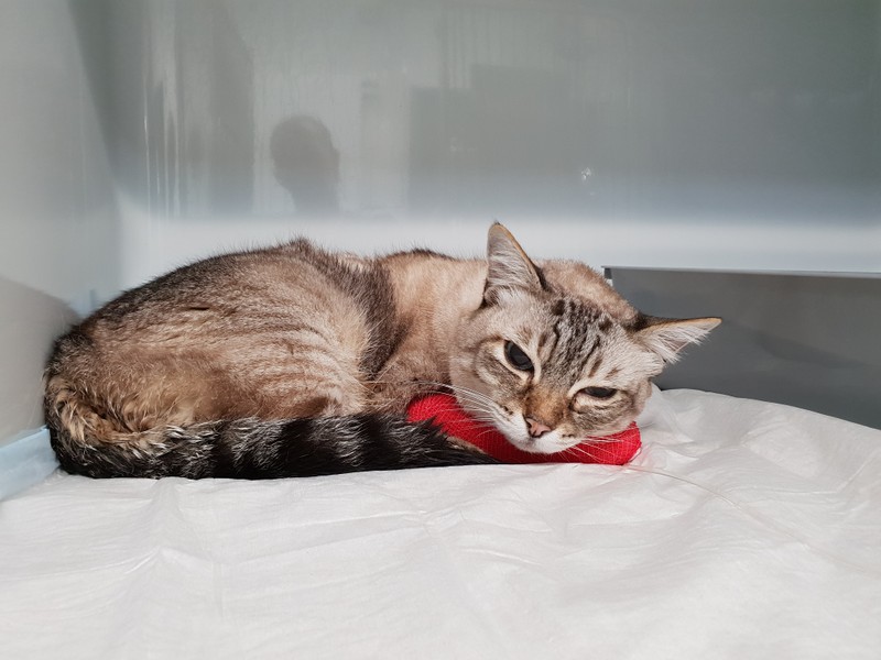 Louis Klinik III.jpg