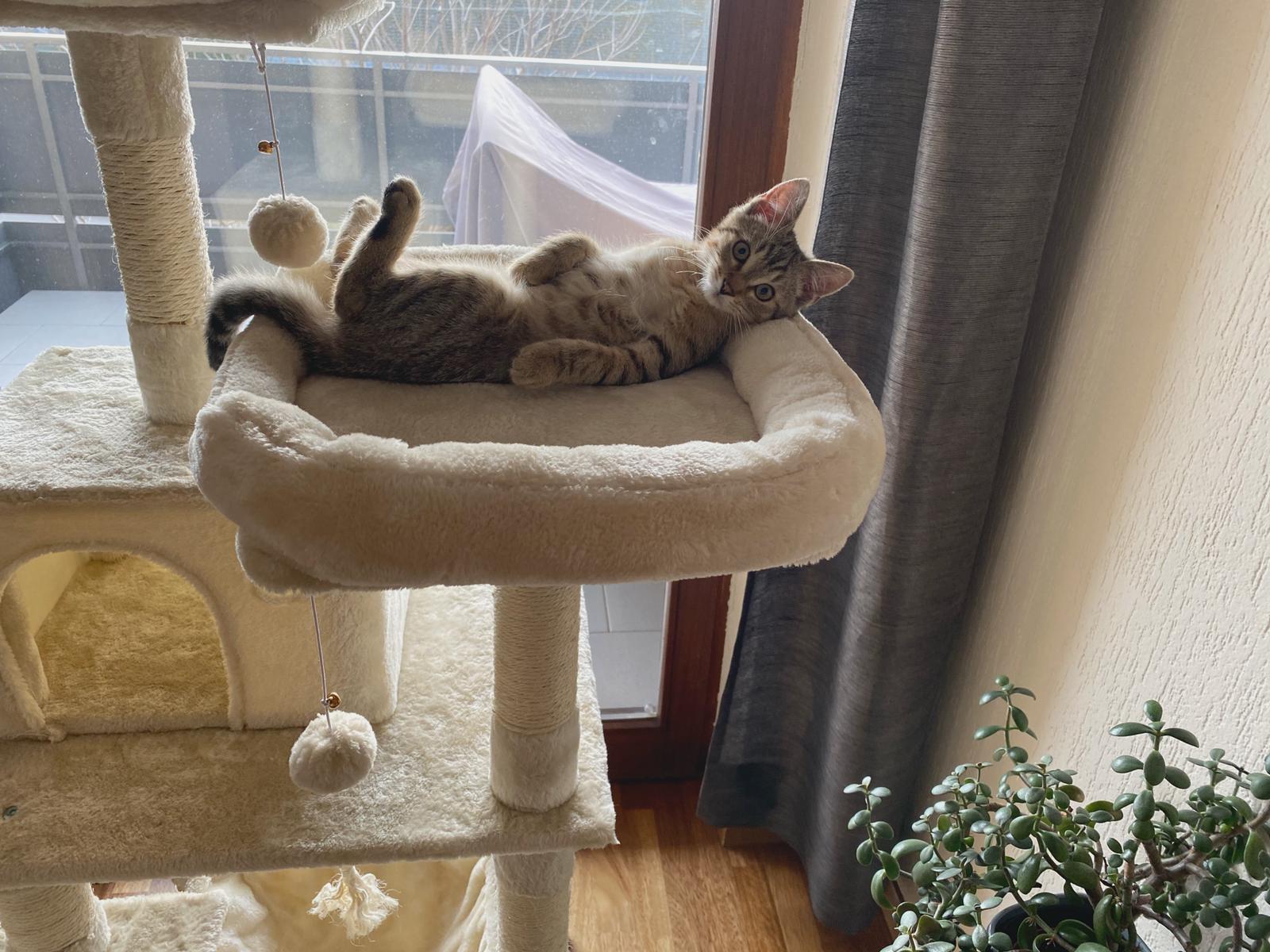 WhatsApp Image 2020-12-14 at 11.50.22.jpeg