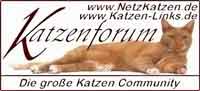 Netzkatzen - Das große Katzenforum
