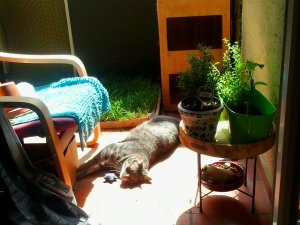 2019-08-16 13.40.22.jpg