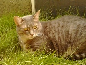 2019-08-16 14.18.56.jpg