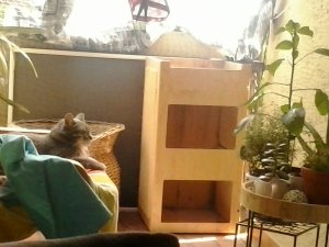 2019-06-15 16.15.45.jpg