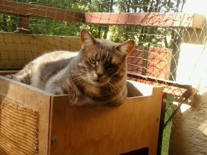 2019-08-01 09.54.47.jpg