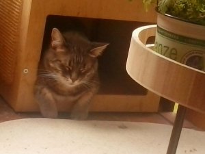 2019-05-19 11.05.56.jpg