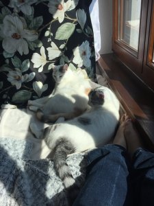 B75C9CC3-7050-4271-97FA-952A741AFF8A.jpeg B75C9CC3-7050-4271-97FA-952A741AFF8A.jpeg