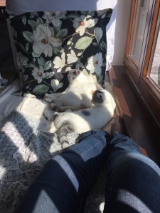 C872DFD0-3D73-426B-9B4D-A265DCA22DA4.jpeg C872DFD0-3D73-426B-9B4D-A265DCA22DA4.jpeg