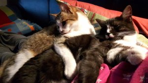 20161210_182257.jpg 20161210_182257.jpg