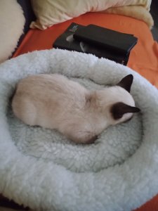 IMG20201017163640.jpg IMG20201017163640.jpg