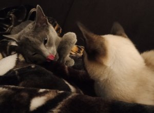 IMG_20201022_221659.jpg IMG_20201022_221659.jpg