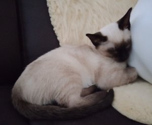 IMG_20201023_141757.jpg IMG_20201023_141757.jpg