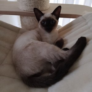 IMG_20201029_105939.jpg IMG_20201029_105939.jpg