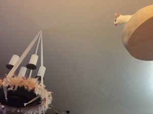 0D848B07-FB2A-4680-B57A-AD612734CE99.jpeg 0D848B07-FB2A-4680-B57A-AD612734CE99.jpeg