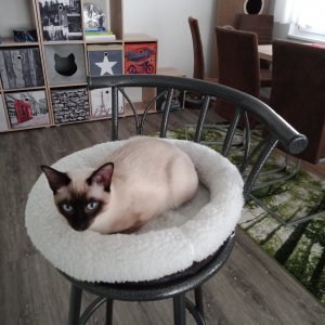 IMG_20210114_112924.jpg IMG_20210114_112924.jpg