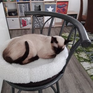 IMG_20210114_122026.jpg IMG_20210114_122026.jpg