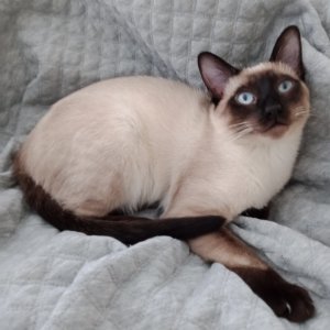 IMG_20210120_145544.jpg IMG_20210120_145544.jpg