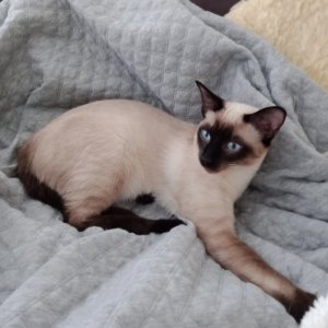 IMG_20210120_145922.jpg IMG_20210120_145922.jpg