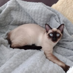 IMG_20210120_150058.jpg IMG_20210120_150058.jpg