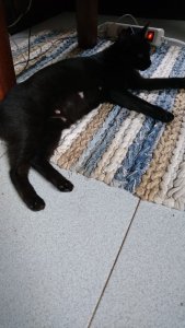 WhatsApp Image 2021-08-12 at 18.17.31.jpeg