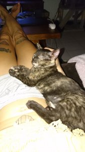 WhatsApp Image 2021-08-05 at 22.00.32.jpeg