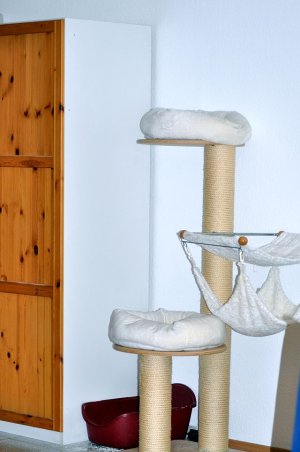 DSC_0012Schrank im Keller1.jpg