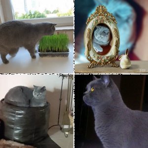 Luna, die kleine Diva