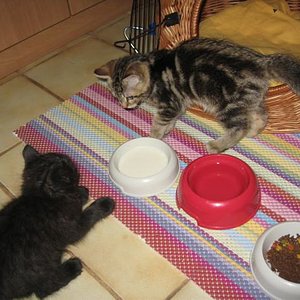 IMG 2698
die ersten minutennach augustin´s einzug