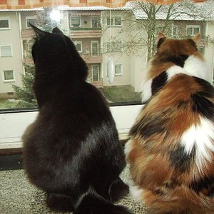 BARBY& LARA  von hinten