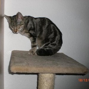 loona will eher ihre ruhe aber nur kurz