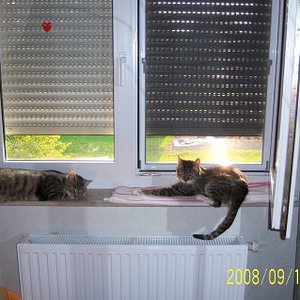 So ein Sonnenbad ist doch wunderschön !!