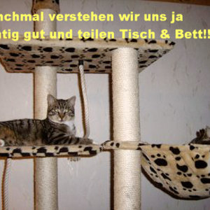 Wir haben doch einen Luxusschlafplatz.