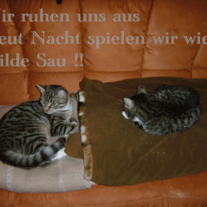 Ruhepause macht jetzt der King allein