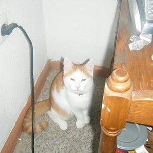 was willst du denn? hee?