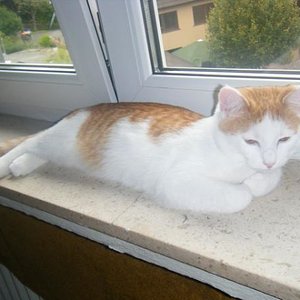 hauptsache alles gut im blick behalten :)