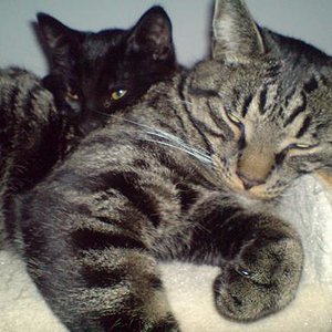 Leon ist ein wenig scheu ^^