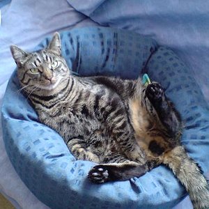 und das hier ist Paul (1 Jahr und 5Monate alt)