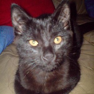 Das ist Leon (4 Monate alt)