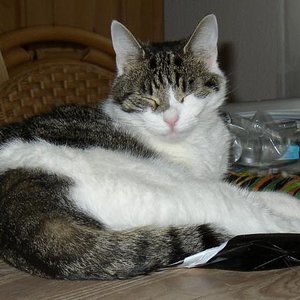 bilder privat 074 (2)