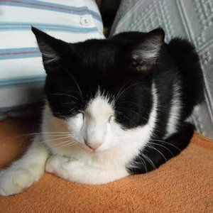 Kasimir,aber nicht der Vater der Kleinen