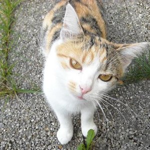 Unsere tapfere Tinky