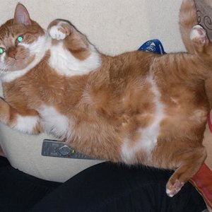 *ischbinderking*
krabbel misch