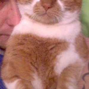 *stolz* bei Papa aufm Arm