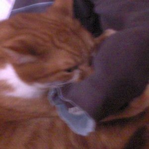 bis zum Knochen durch;)