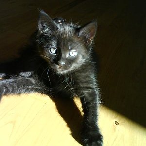 Meine süße ♥Wolke♥