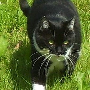 Leo, die Ängstliche ...