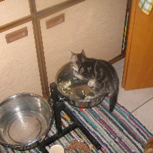 Bei Freunden schmeckt es immer besser.