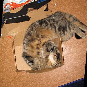 Platz ist in der kleinsten Hütte, äh, Schachtel.