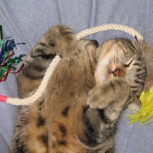 Schlaf der Gerechten.