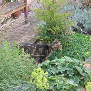 Pass auf, kleiner Vogel, pass auf!
