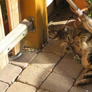 Hab doch gesagt du sollst aufpassen.